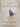 Song of Solomon by Toni Morrison