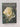 Tasman Bay Roses 1998 by Tasman Bay Roses