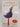 Curious Questions by Max Cryer