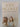My Sister's Keeper by Jodi Picoult