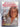 New Zealand's Champion Sportswomen by Dorothy Simons