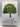 Apples Never Fall by Liane Moriarty