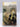 The Bostonians by Henry James