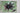 Keeping and Breeding Tarantulas by Ronald N. Baxter