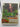 Grow your own veg by Carol Klein