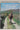 Walking Along the Border by Colm Toibin