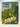 The Evolution of Plants and Flowers by Barry Thomas