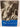 Vladimir Nabokov: the American years by Brian Boyd