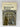 Measure for Measure by William Shakespeare