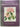 The Book of Rhododendrons by Marianna Kneller