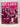 My Love - music by Paul and Linda McCartney