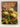 Mexican Cooking by Isabella Lopez