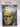 Selected poems by Robert Frost