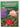 Rhododendron Growers Handbook by Margaret Tapley
