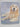 A Dog's Life 101 Adorable Breeds by Rachael Hale