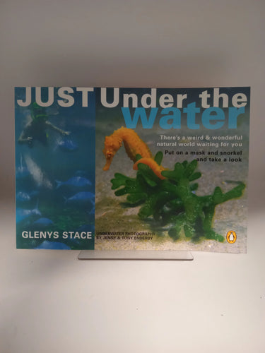 Just Under the Water by Glenys Stace - Book Express - Used Print Books
