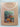 Complete Guide to Indoor Gardening by Ann Bonar