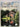 The Last Country Houses by Clive Aslet