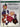 Perennials by Roger Phillips,Martyn Rix
