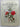 Early New Zealand Botanical Art by F. Bruce Sampson