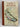 The Trout Diaries by Derek Grzelewski