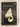 New Zealand shells by John Child - Book Express - Used Print Books