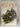 Complete Book of Herbs by Lesley Bremness