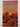 The Dinosaur Planet Omnibus by Anne McCaffrey