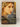 The White Queen by Philippa Gregory