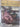 The complete works of Michelangelo by various