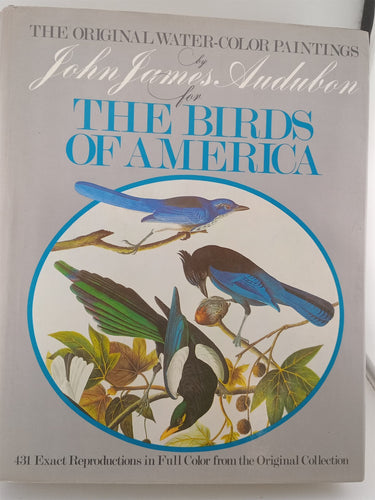 Print Books - The Original Water-Color Paintings by John James Audubon for the Birds of America by John James Audubon - Book Express