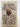 Print Books - Setting Free the Bears by John Irving - Book Express