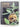 Catnip by Millicent Selsam
