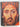 Jesus the evidence (Book club associates) by Ian Wlison
