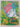 Boom Boom Loopy and the Rainforest Remedy by Mark Foster
