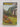 Yates Garden Guide by Arthur Yates,Co Ltd