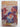 Print Books - North for Treasure by Dorothy Carter - Book Express
