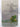 Print Books - The Legend of the Green Man by Sara Hely - Book Express
