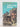Print Books - Julie of the wolves by Jean Craighead George - Book Express