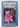 Print Books - Spiders of the World by Rod,Ken Preston-Mafham - Book Express