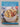 Print Books - Slow Cooking by Weight Watchers - Book Express