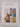 Print Books - Errol's Asteroid by Errol Manderson - Book Express