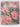 Palmers Manual of Trees, Shrubs & Climbers by Stanley James Palmer