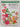 Roses by Roger Phillips, Martyn Rix