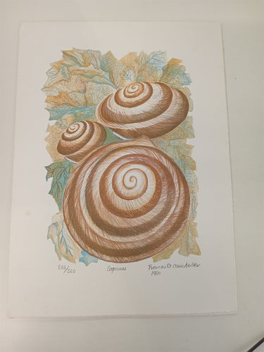 The The Shell Collection (1980) by F. St. Clair Miller Signed Portfolio Set (9 Lithographs incl. H.C. Proofs),Shell Marine Service UK