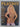Playboy Magazine, Aug 1983 by Hugh Hefner (editor)