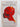 Possessing the Secret of Joy by Alice Walker