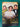 Florence Foster Jenkins by Nicholas Martin, Jasper Rees