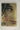Print Books - At the Sign of the Sugared Plum by Mary Hooper - Book Express