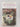 The Anniversary by Ann Swinfen